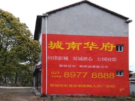 平湖百分之90的人都不了解的农村墙体广告