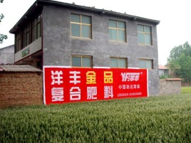 平湖如何让墙体广告展现最大化效果