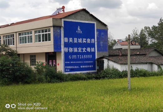 平湖决定墙体广告价格的因素有哪些?
