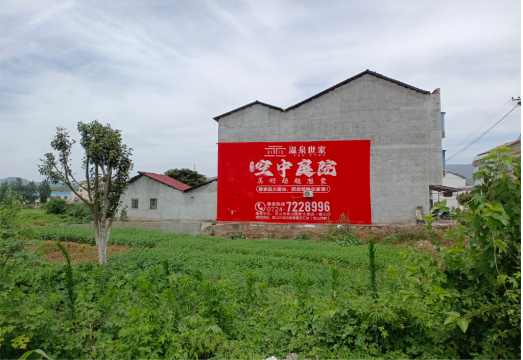 平湖做墙体广告的意义